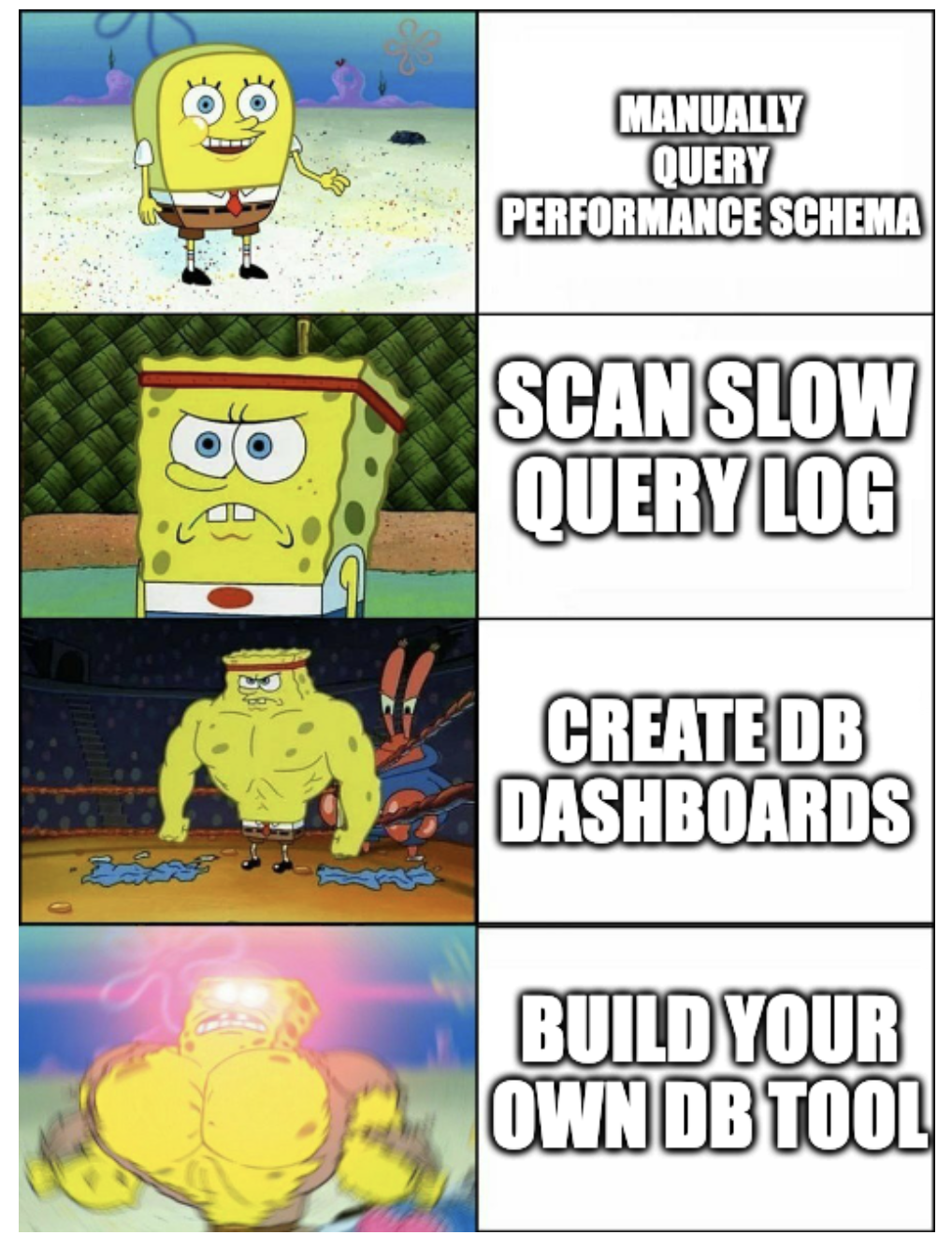 Cover Image Rise of the DBSentinel