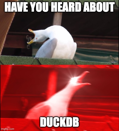 Screaming bird asking if you have heard about DuckDB