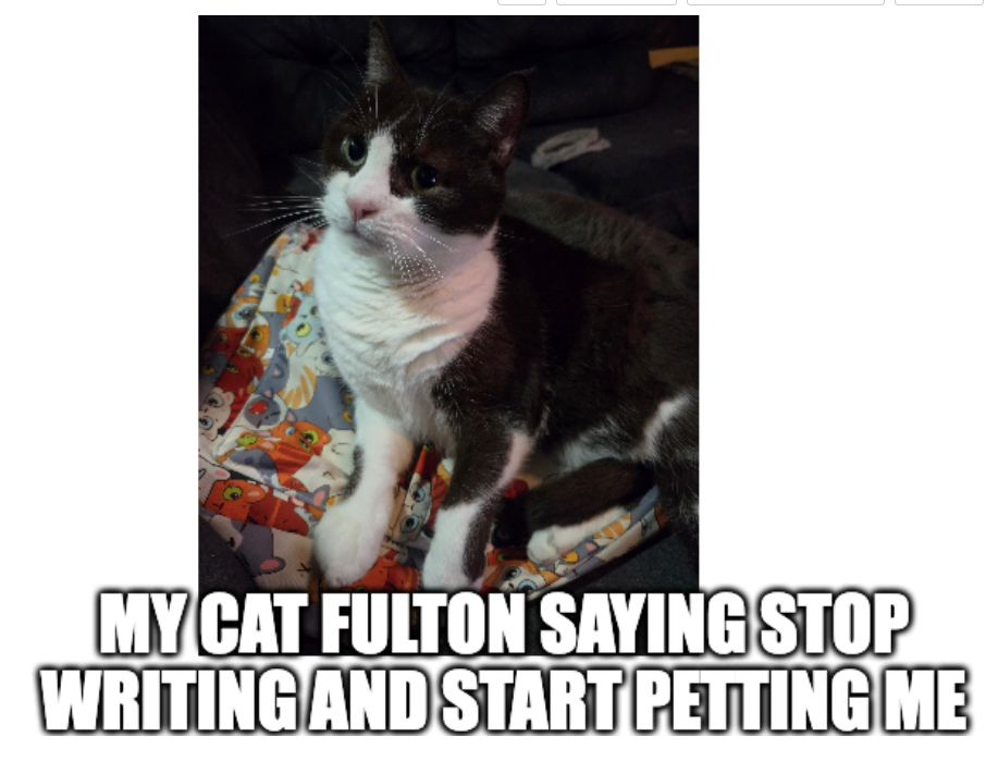 Fulton says stop writing and start petting me